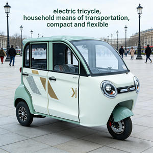 Triciclo Elettrico Completamente Chiuso per Adulti, Uso Domestico con Seggiolino per Bambini Come Mezzo di Trasporto per Adulti e Bambini - Product Image 3