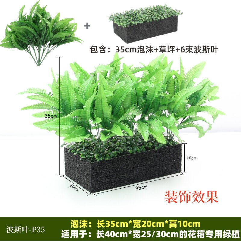 La feuille persane P35 convient aux jardinières de 40 cm