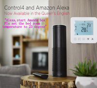 Controlador de Temperatura de Agua Digital WiFi, Precisión 1, 4000W, Calefacción Eléctrica, Caldera de Pared, Sensor NTC, Control 5-99