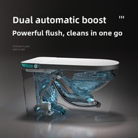 Toilette intelligente en céramique, sanitaire, fonctionnement silencieux, usage commercial et résidentiel, installation facile, fournisseur en gros, luxe