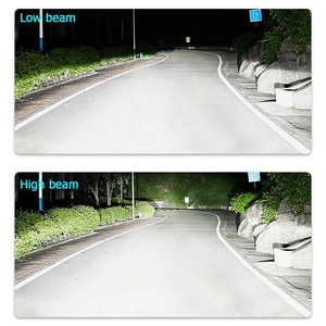 Siêu phổ biến 12V tự động Halogen & <span class=keywords><strong>Xenon</strong></span> đèn pha H4 H7 H1 H3 H8 HB3 100W xe Halogen ánh sáng - Product Image 6