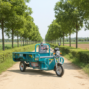 Tricicli da carico a corpo aperto a tre ruote per veicoli da trasporto elettrici ad alte prestazioni per la consegna delle motociclette da 400kg - Product Image 1