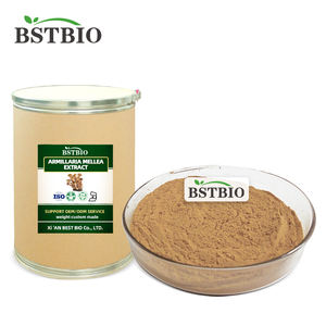 BSTBIO Polvo de Hongos de Miel, Polisacáridos 30%, Extracto de <span class=keywords><strong>Armillaria</strong></span> <span class=keywords><strong>Mellea</strong></span> en Polvo - Product Image 3