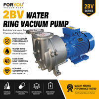 Pompa Vakum Cincin Cair FORYOU 2BV2061 0.86 M³/menit 3300 Pa CE Pompa Industri untuk Pengolahan Kimia