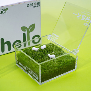 Un césped, un césped privado, un terrario de musgo, una planta verde de escritorio para oficina, una planta en maceta, un regalo, un regalo cultural y creativo - Product Image 3