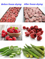 4Kg 6Kg Goedkoopste Koffie Fruit Groenten Snoep Tafelblad Vacuüm Oogst Rechts Mini Thuisgebruik Kleine Voedsel Vriesdroger