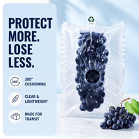 Film de protection gonflable pour œufs, fruits et légumes, emballage en mousse, coussin d'air, sac de protection pratique, prix usine abordable