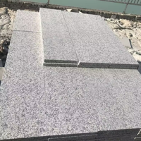 Pierre naturelle G602 Escalier de granit Surface flammée Tuile de granit gris sésame pour sol