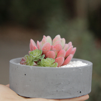 Jardinière en béton cylindrique courte gris clair, style thérapeutique, très vendue, spéciale succulentes, respirante, mate, vente en gros