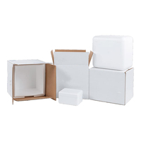 Boîte d'emballage isotherme personnalisée pour la chaîne du froid, boîte de transport isotherme en polystyrène pour aliments congelés