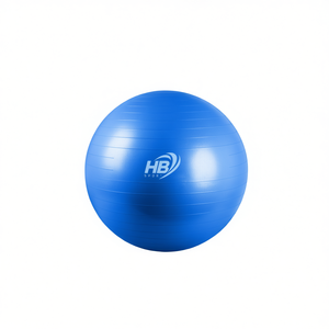 Pelota de Yoga Lisa de 65 cm y 800 g para tu Práctica - Product Image 1