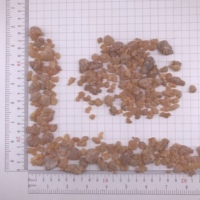 8002 Ru xiang encens jaune clair encens résinoïde de haute qualité Olibanum