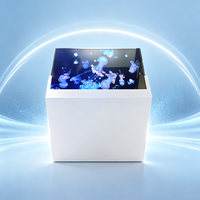 Afficheur numérique OLED transparent personnalisable de 55 pouces avec une résolution de 1920x1080 pour la publicité dans les ascenseurs, les centres commerciaux et les métros