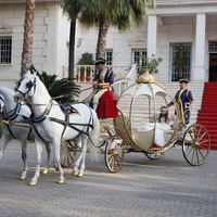 Chariot de chevaux en forme de citrouille pour princesse, transport spécial, tourisme et visites touristiques