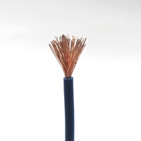 Reines Kupfer BVR 1-adriges Mehradriges PVC-Isoliertes 450V 750V 70mm 95mm 120mm Elektrokabel für Hausverkabelung