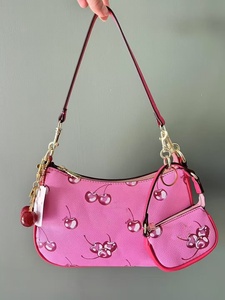Nouveauté 2025 : Sacs bandoulière <span class=keywords><strong>de</strong></span> <span class=keywords><strong>luxe</strong></span> pour femmes, sacs à main en cuir <span class=keywords><strong>de</strong></span> marque pour dames, sacs <span class=keywords><strong>de</strong></span> créateur Cherry, très tendance - Product Image 2