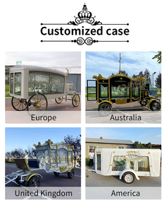 Funeral Coaches Fabricante Coche fúnebre Vehículo fúnebre <span class=keywords><strong>Van</strong></span> Truck Car Equipo funerario - Product Image 5