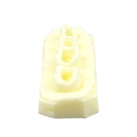 YOUYA DENTAL MX-102 Modelo Anatómico de Resina para Prácticas de Relleno Dental e Implantes, Precio de Fábrica, para Enseñanza y Exámenes en Consultorios Dentales
