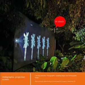 จอโปรเจคเตอร์โฮโลแกรมแบบตาเปล่า ยกได้ด้วยระบบไฟฟ้า สำหรับงานแต่งงาน ผ้าโปรเจคเตอร์ตาข่าย สำหรับใช้งานกลางแจ้ง พกพาสะดวก ภาพ 3 มิติ อัตราส่วน 16:9 - Product Image 5