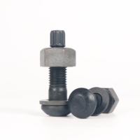 Hdg Zwart ASTMF1852 A325TC Tc Bouten A490TC ASTMF2280 Hoge Spanning Hoge Sterkte Controle Bolt