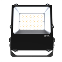 Projecteur LED 50W-240W IP66 2024 pour jardin et terrain de tennis, éclairage sportif extérieur