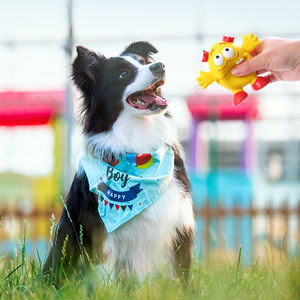 Vente de gros Jouet à mâcher mignon en latex pour chien - Product Image 2