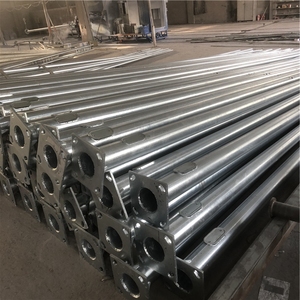 Chất Lượng Cao Morden Trang Trí Đường Lái Xe 6 Meter 8 Meter Galvanize Chiếu Sáng Công Cộng Cực - Product Image 5