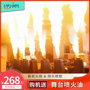 Máquina de llamas Limin Stage Flame de 3000W para exteriores, lanzallamas para efectos de iluminación en escenarios - Product Image 2