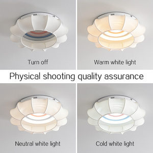 Nhà hiện đại bề mặt Núi Vải đèn <span class=keywords><strong>LED</strong></span> trang trí cho Đèn trần <span class=keywords><strong>Led</strong></span> phòng ngủ phòng khách Đèn trần - Product Image 2