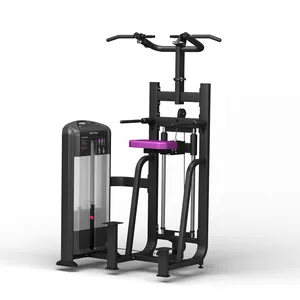 Minolta Fitness Fabricante Fábrica Fornecimento Direto Multi Ginásio Fitness Equipamentos Esporte Dip/Chin Assist Machine