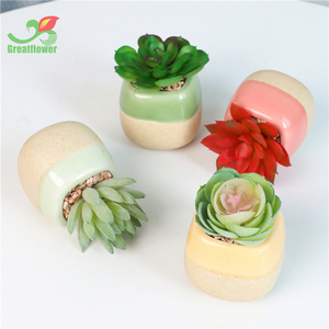 <span class=keywords><strong>Piante</strong></span> <span class=keywords><strong>grasse</strong></span> artificiali <span class=keywords><strong>in</strong></span> vasi fioriera <span class=keywords><strong>in</strong></span> ceramica piccola Mini decorazione per <span class=keywords><strong>piante</strong></span> per la casa - Product Image 3