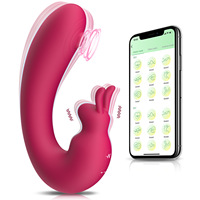 Nouveau vibrateur lapin portable connecté pour femmes, stimulateur de point G, vibromasseur culotte, jouet sexuel pour masturbation féminine