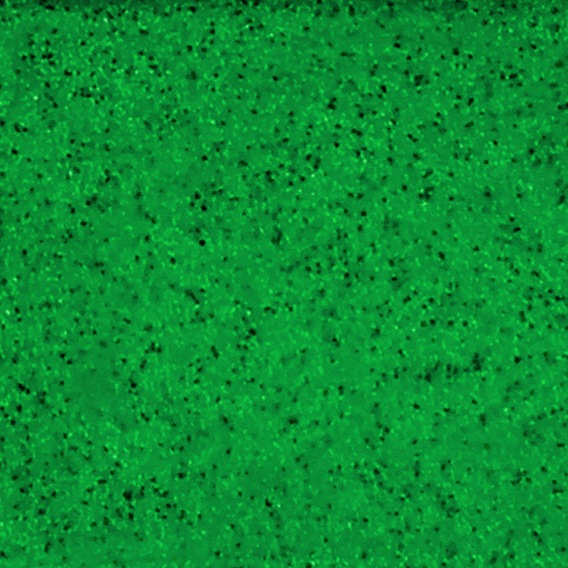 Vert pomme