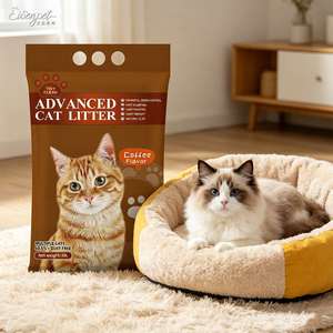 Arena para Gatos de Bentonita Premium, Baja en Polvo, OEM/ODM, Gran Aglutinación, Granulada Gris - Product Image 1