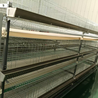 Cages à poulets pour pondeuses, cages automatiques de type H pour volailles pondeuses