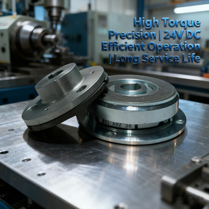 Tianji CE-gecertificeerde 24V instelbare koppel stalen elektromagnetische koppelingsschijfrem op maat gemaakte Dly0-serie micro-elektromagnetisch - Product Image 2