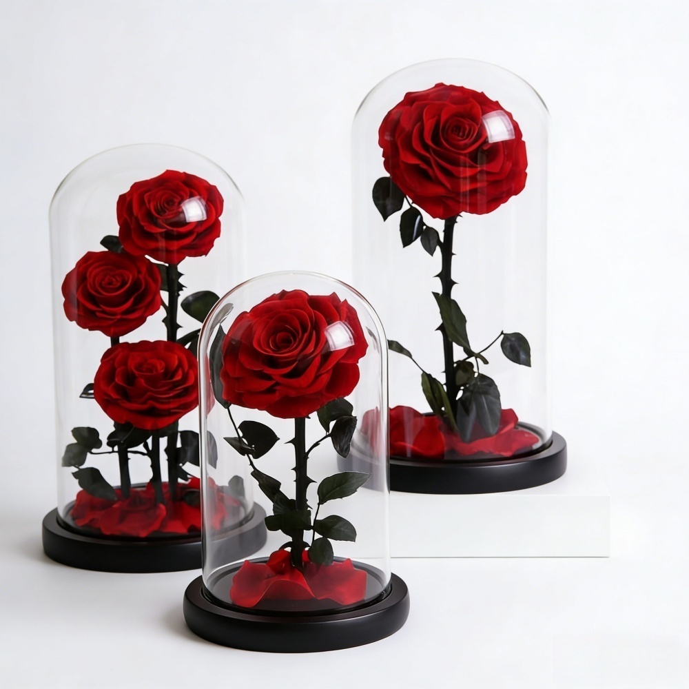 Rouge 15*31cm (1 Rose)