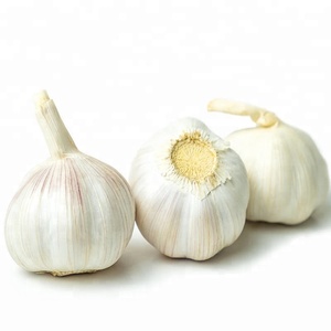 China nueva cosecha <span class=keywords><strong>elefante</strong></span> blanco puro <span class=keywords><strong>ajo</strong></span> precio - Product Image 3