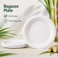 Assiettes jetables biodégradables en bagasse de canne à sucre compostables, rondes de 7 pouces, pour la restauration, les traiteurs et les fêtes