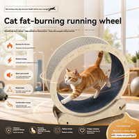 Tapis de course durable en bambou tressé pour chat et chien, jouet d'exercice en bois massif pour l'entraînement des animaux de compagnie