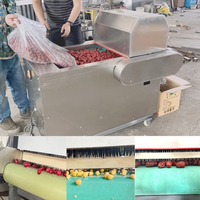 Ligne de traitement de fruits secs surgelés multifonction Machine à piquer les aiguilles pour les baies surgelées
