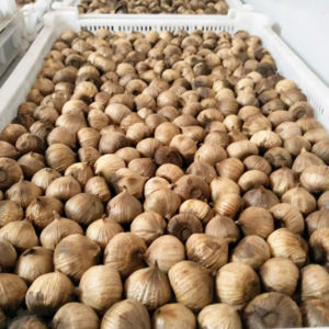 Sezonda 2024 yeni ürün fermente yumuşak yalnız siyah sarımsak tüm ampuller bitkisel aperatifler ve çeşniler düşük fiyat ile sağlık için iyi - Product Image 5