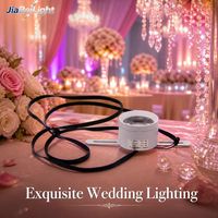 Projecteur LED à pixels RGBW 24W DC24V, faisceau de 30 degrés, contrôle DMX512 pour salle de bal d'hôtel et scène de spectacle