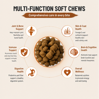 Friandises à mâcher molles aux champignons Turkey Tail OEM ODM pour chiens et chats – Soutien immunitaire quotidien, sans céréales, pour toutes races et âges