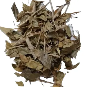 Dried wild herb new dried Dwarf mock Orange Jasmine Murraya exotica stems and leaves for sale