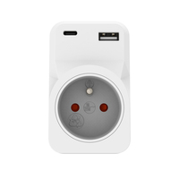 WATTSAVE France 230V 16A Prise avec prise secteur 2 ports USB Adaptateur de charge avec multiprise CE pour une garantie de 12 mois