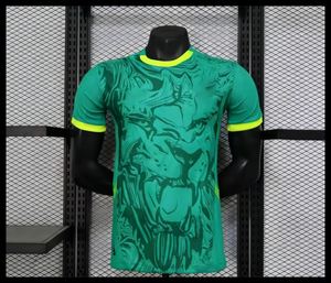 2526 Hot Selling Africa Cup Quick Dry <b>Soccer</b> Jersey High Quality Football Uniform Sports Wear for Football Fan - Product Image 1