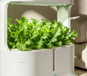 Système de culture hydroponique intelligent à 3 niveaux avec éclairage LED pour herbes et légumes <span class=keywords><strong>d</strong></span>'<span class=keywords><strong>intérieur</strong></span> - Product Image 3