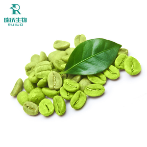 Extrait de grain de café vert naturel de haute qualité d'approvisionnement d'usine de la Chine bon <span class=keywords><strong>pour</strong></span> l'usage de <span class=keywords><strong>plante</strong></span> - Product Image 6