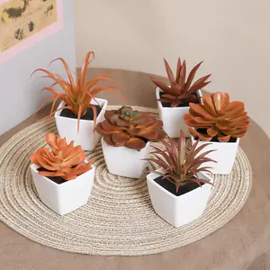 Factory Wholesale 6 Pieces Succulent Combination Artificial Simulation Plants